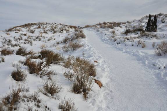 Trilha tomada pela neve no Arches National Park, perto de Moab, em Utah, nos Estados Unidos